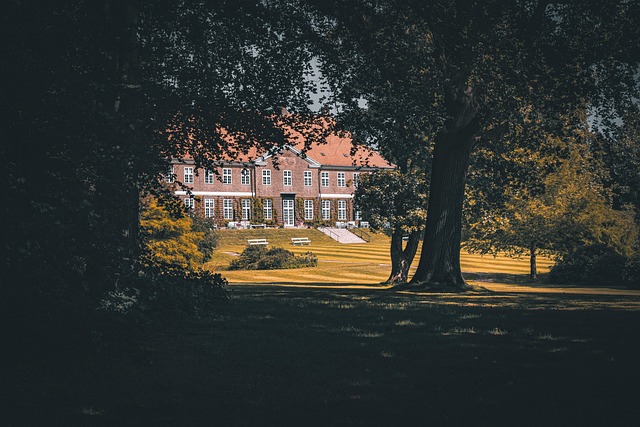 property disclosures