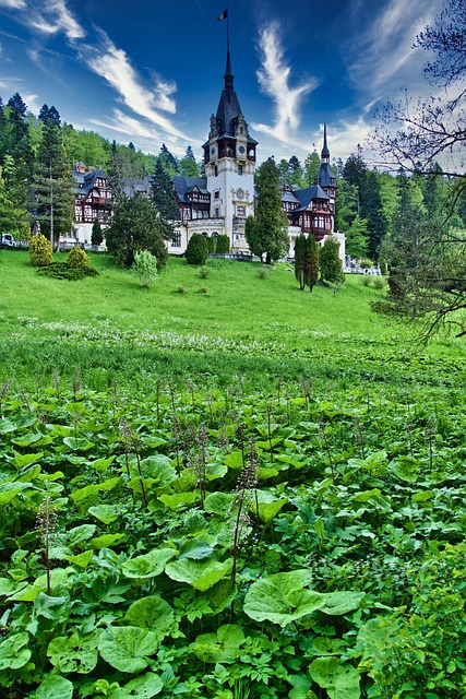 property disclosures