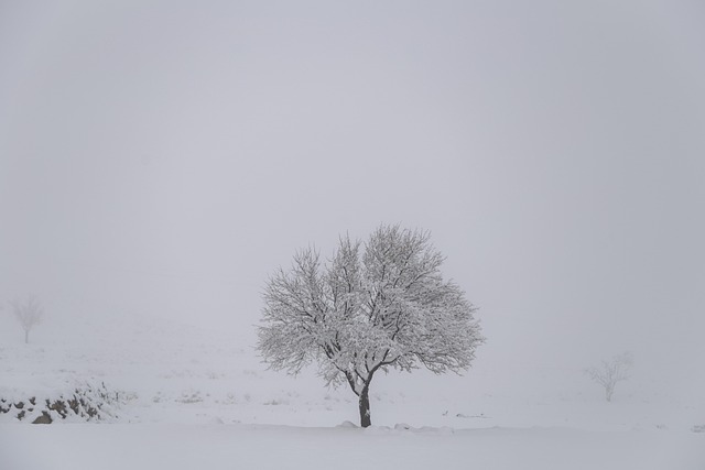 Quality of life index