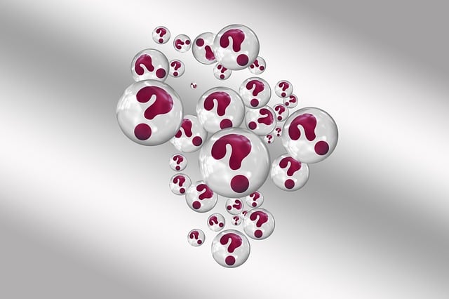 questions to ask a realtor