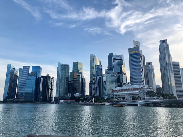 ray phoenix modernist high rise lifestyle