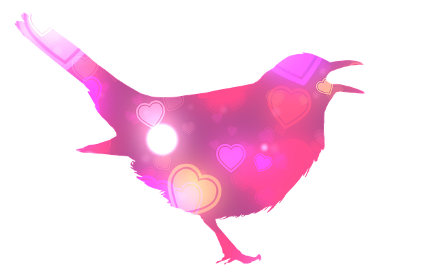 realtor fees for selling a house