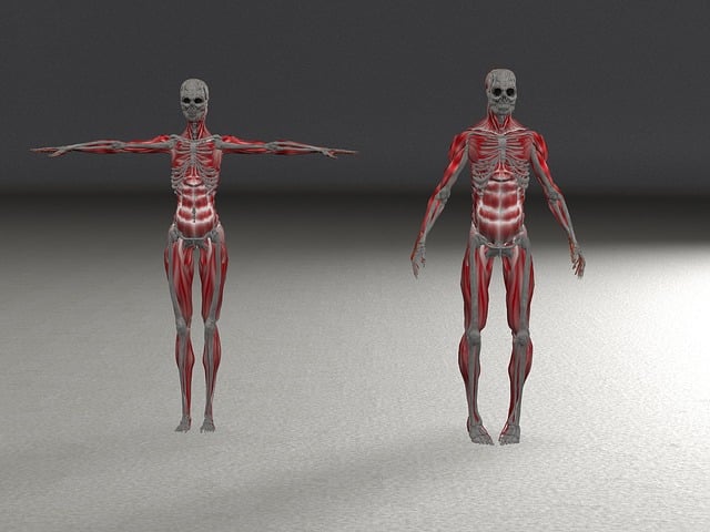 realtor representation