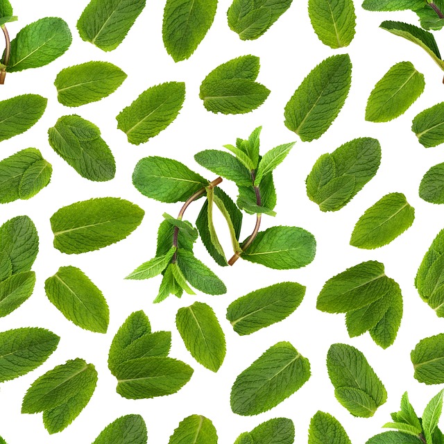 retirement communities near lake pleasant