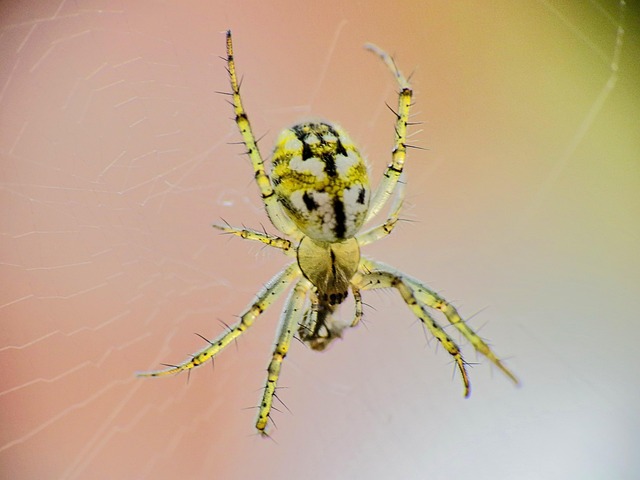 retirement communities near lake pleasant