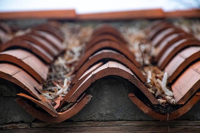 roof replacement cost