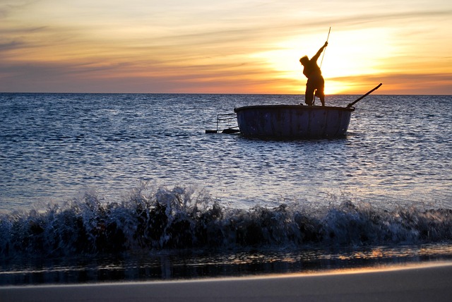 Salary guide comparison