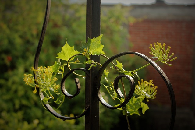 Remote Work Infrastructure: Tools, Salary Guide, Sustainable Strategies