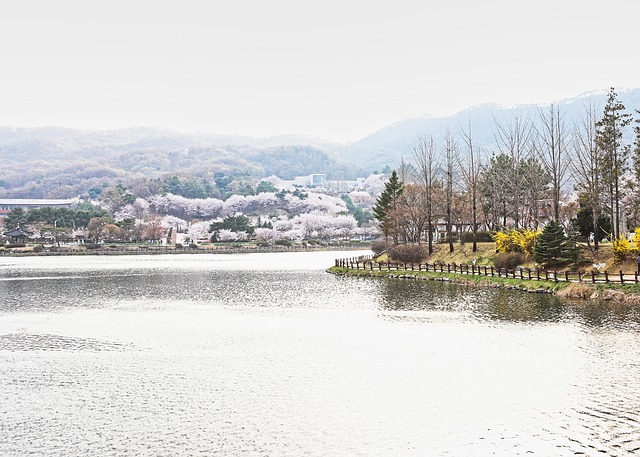 Salary guide comparison