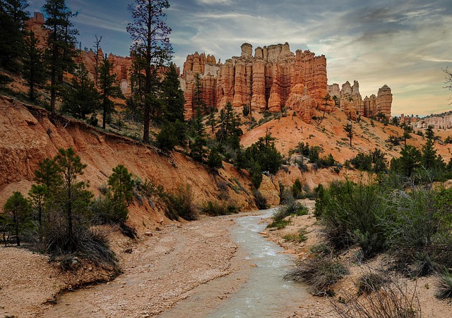 scottsdale vs paradise valley luxury market 2026