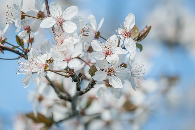 Seasonal affective relief