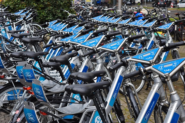 short-term rental rules phoenix by city