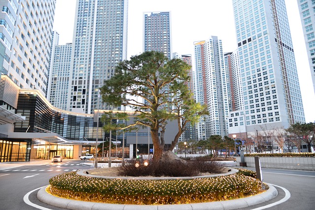 sustainable desert modern architecture