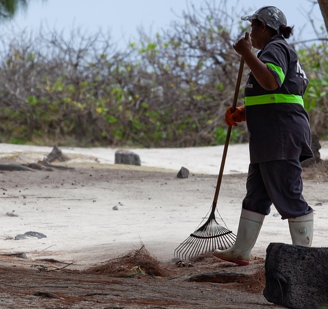 tech worker relocation guide phoenix 2026