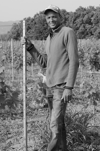 tech worker relocation guide phoenix 2026