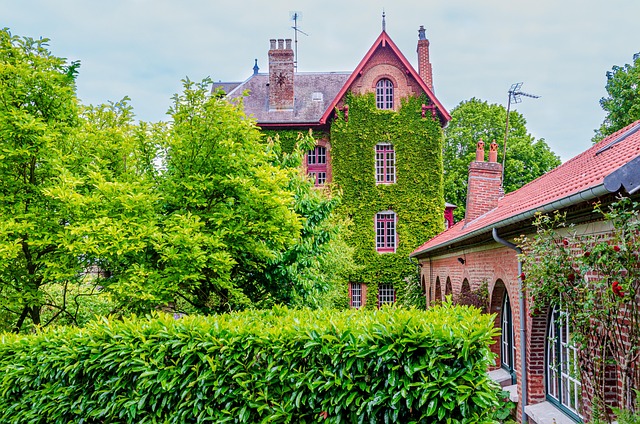 teravalis buckeye az master plan 2026