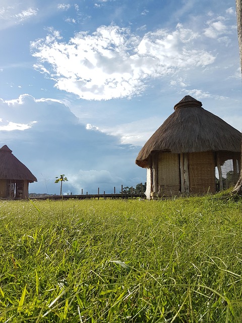 teravalis buckeye sustainability features