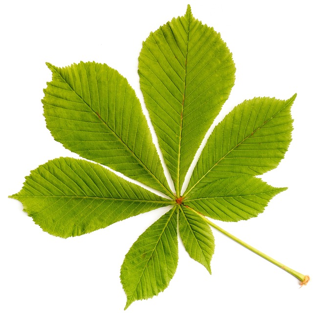 teravalis buckeye sustainability features