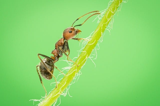 Therapeutic environments