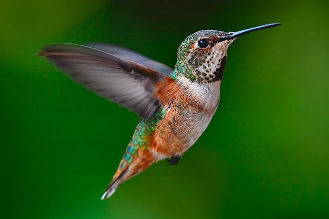 Therapeutic environments