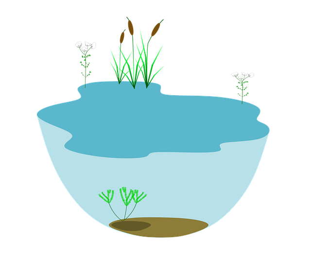 Therapeutic environments