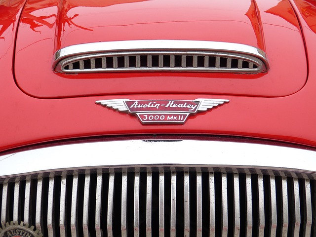 Austin Insider Guide: Food, Nature, Festivals Unveiled