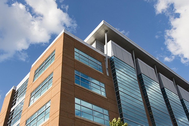 Family Fun in Baltimore: Explore Nature & Outdoor Adventures