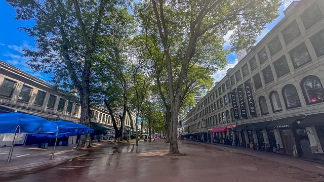 things to do in boston