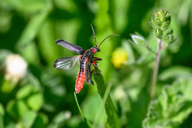 things to do in charlotte