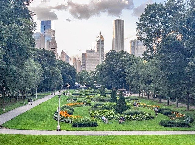 things to do in chicago