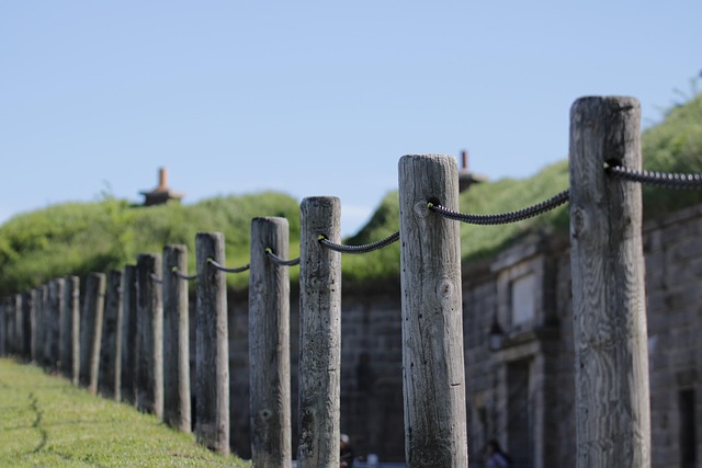 things to do in fort lauderdale