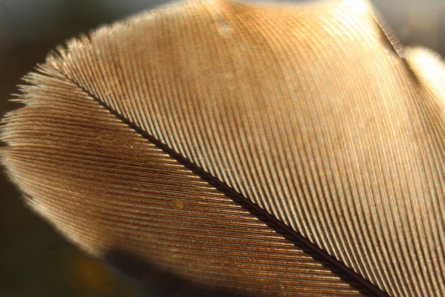 things to do in miami