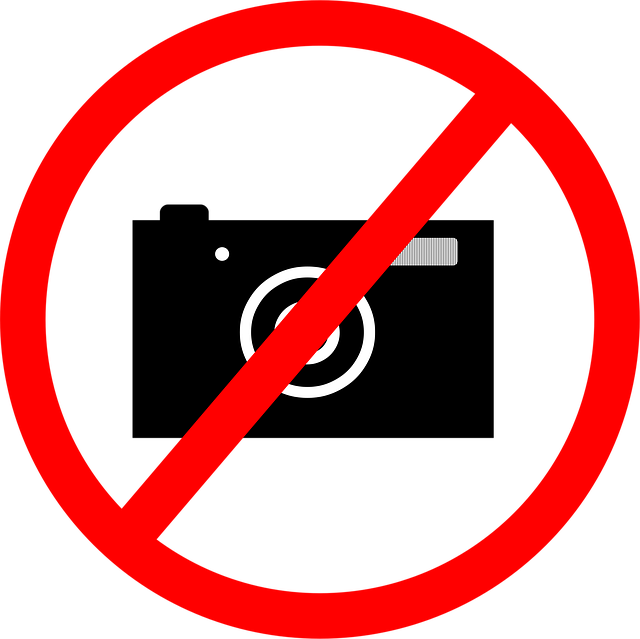 things to do in tampa