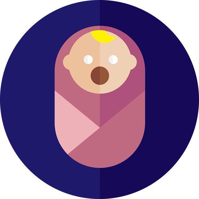 things to do in tampa