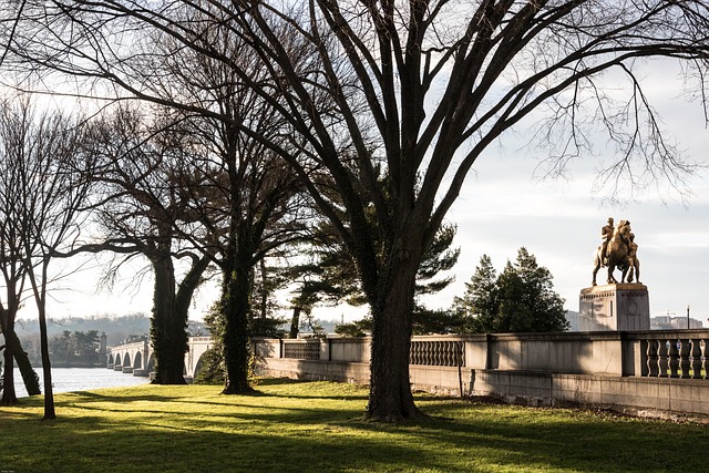 things to do in washington dc