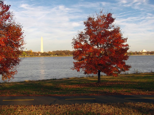 things to do in washington dc