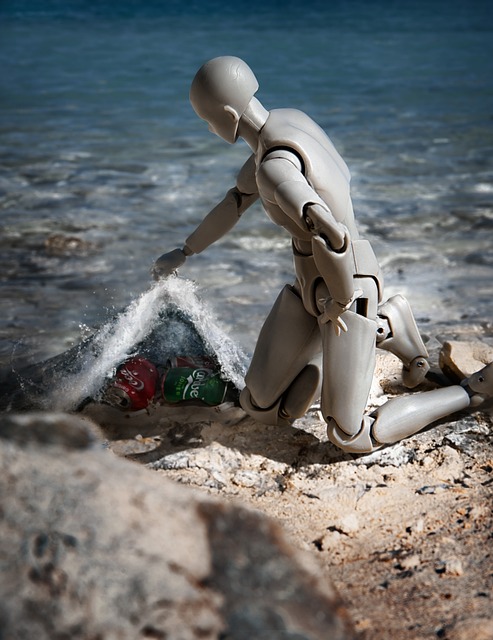 trash pickup schedule