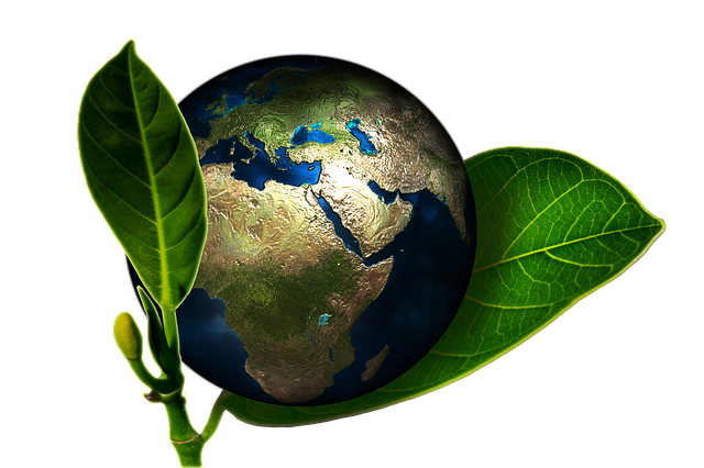 Water Service Maps: Unlocking Investment Strategies and Cost Savings