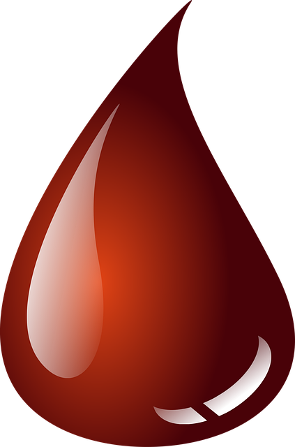 what does a realtor do for a buyer