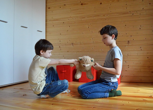 what does a realtor do for a buyer