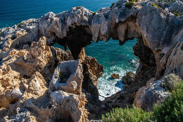 what to see in atlanta