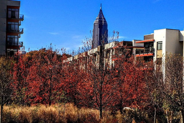 Discover Atlanta’s Iconic Views: Scenic Overlooks & Hidden Gems