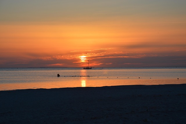 what to see in atlanta