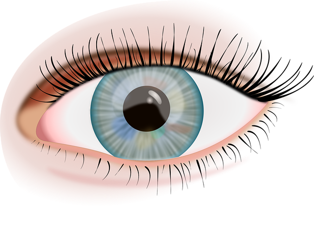 what to see in baltimore