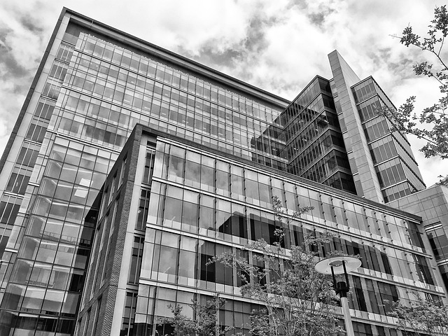 what to see in baltimore