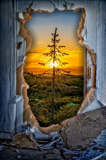 what to see in baltimore