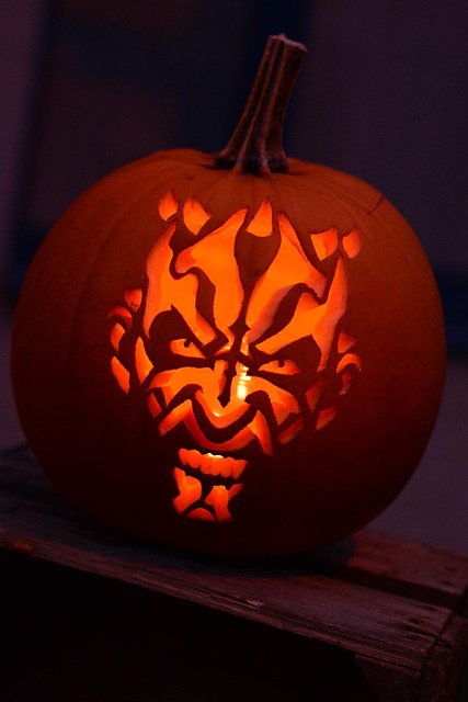 what to see in charlotte