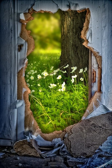 what to see in dallas