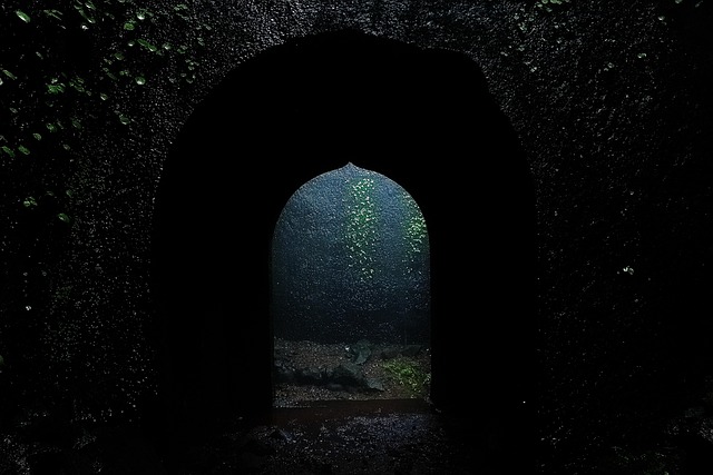 what to see in fort lauderdale