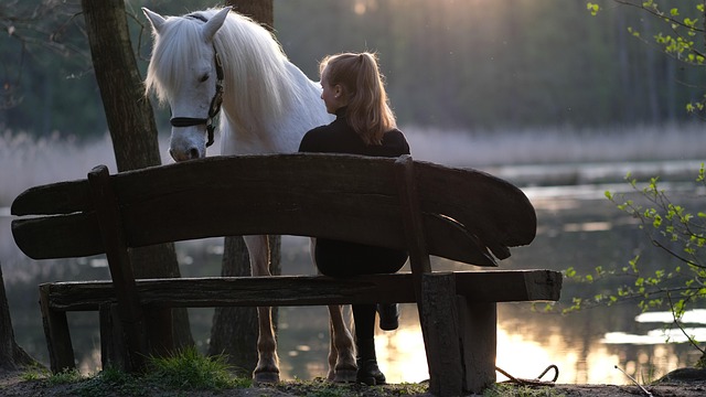 what to see in minneapolis